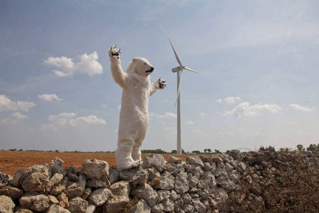 Un orso polare si aggira per il Salento
