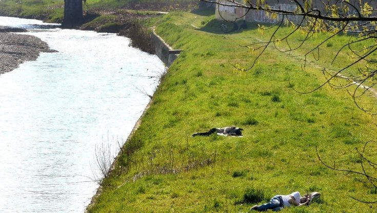 Parma, una passeggiata nel torrente in cerca di erbe officinali 