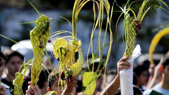 Il ramoscello d'ulivo, una speranza contro la morte