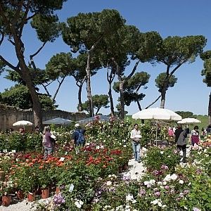 Primavera in fiore, alla Landriana tutti a lezione dai giardinieri