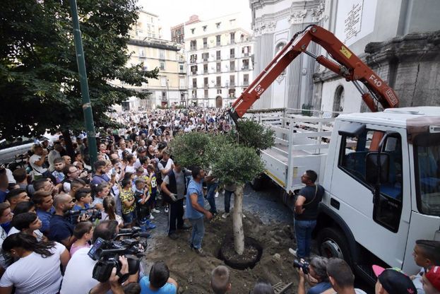 Gennaro Cesarano, un ulivo in ricordo del 17enne