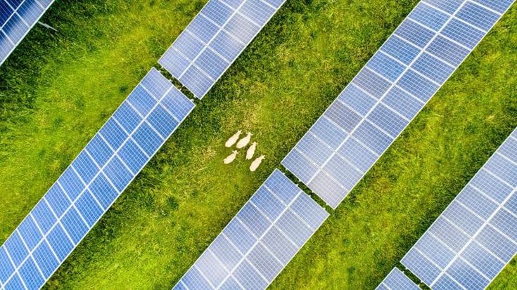 Agrivoltaico, Anie Rinnovabili sollecita la pubblicazione della seconda graduatoria Pnrr