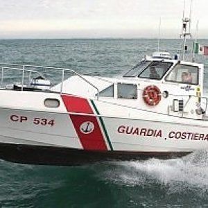 Ancora un delfino morto sulle coste del Lazio: il ritrovamento a Passoscuro