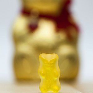 Lindt vince contro la Haribo nella battaglia degli 'orsetti'