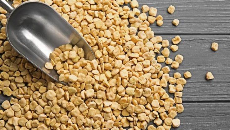 Il destino della cicerchia, da colonna a Cenerentola dell'alimentazione