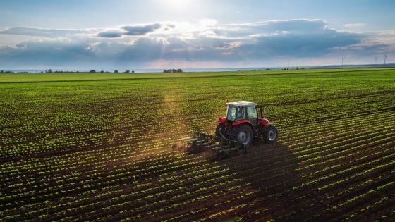 L'Inghilterra ripensa i carburanti a impatto zero: olio da cucina e rifiuti per alimentare aerei e navi