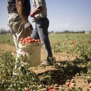 Sassaiola contro gli immigrati a Foggia, il Pd: "Raid razzisti fomentati dalla Lega"