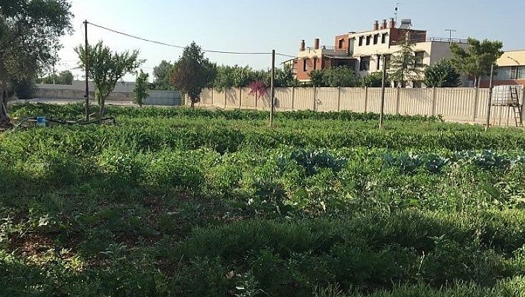 Bari, un cittadino dona un campo alle associazioni per organizzare attività sociali: "Il mio regalo alla città"