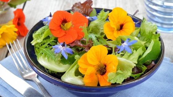 Ditelo con i fiori e poi mangiateli: il business è servito
