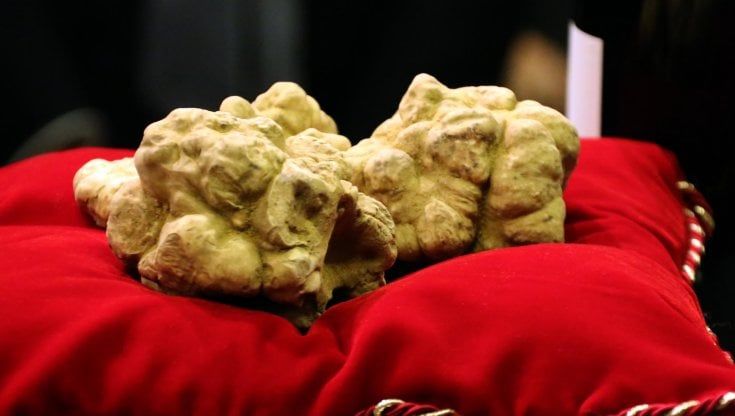 Alba e le Langhe, dal tartufo ai grandi vini, capitali del turismo sostenibile