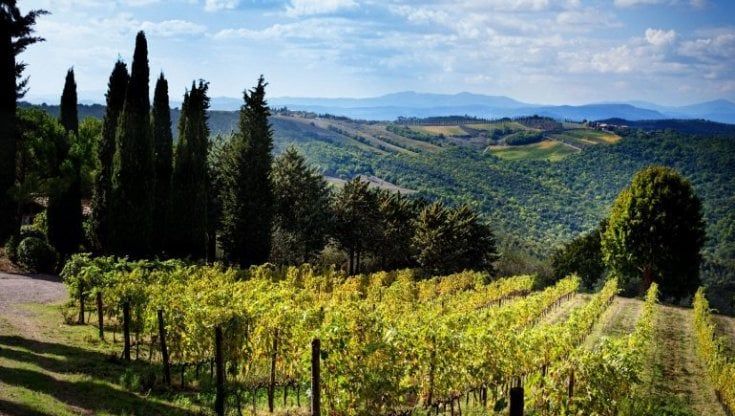 Il Palazzone, la tenuta del Brunello di Montalcino più contesa dal capitale Usa passa da Parsons (consigliere Obama) a Kern (Expedia)