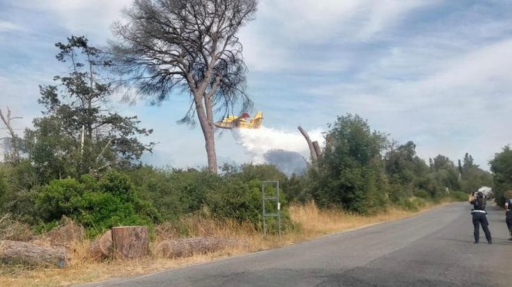 Incendio nella pineta di Castelfusano, le fiamme lambiscono le villette: Canadair in azione