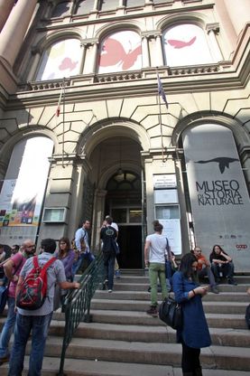 Il museo di Storia Naturale si rialza e riapre le sale, nei fondi si spazza ancora