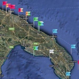 Alga tossica in Puglia, emergenza nel Barese. E per la prima volta arriva in Salento