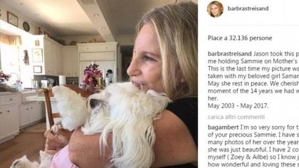 Barbra Streisand ha clonato il suo cane: 