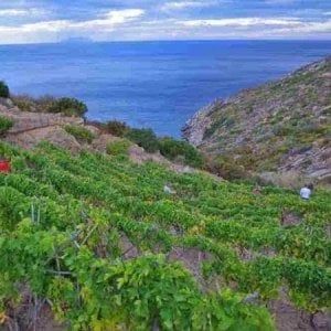 Da Bibbona a Casciana Terme, alla scoperta di un'altra estate in Toscana 