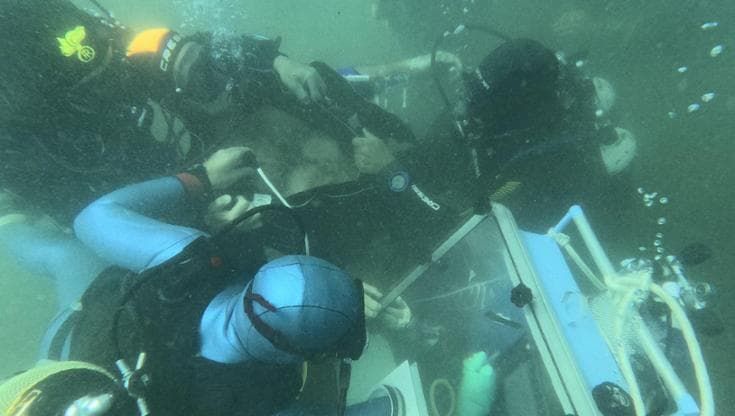 Nel mare di Procida analisi del sangue “subacquee”: “Ecco cosa accade al nostro corpo sott'acqua”