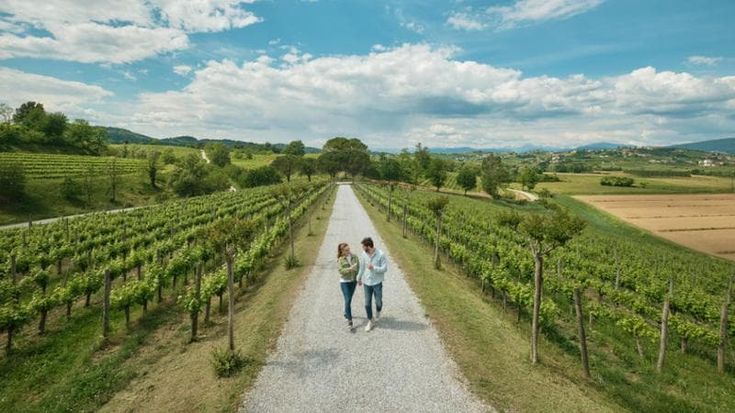 Tra vendemmie ‘didattiche’ e pic-nic, in Friuli Venezia Giulia c’è fermento