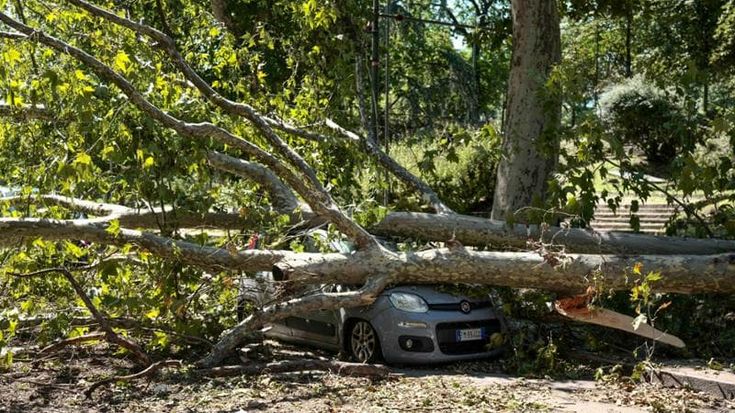 Nubifragio a Milano, dopo sette mesi nessun rimborso dei danni per la tempesta di vento che ha colpito parchi e scuole