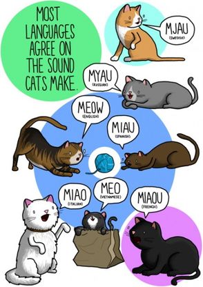 Tumblr, ''Miao'' in tutte le lingue del mondo