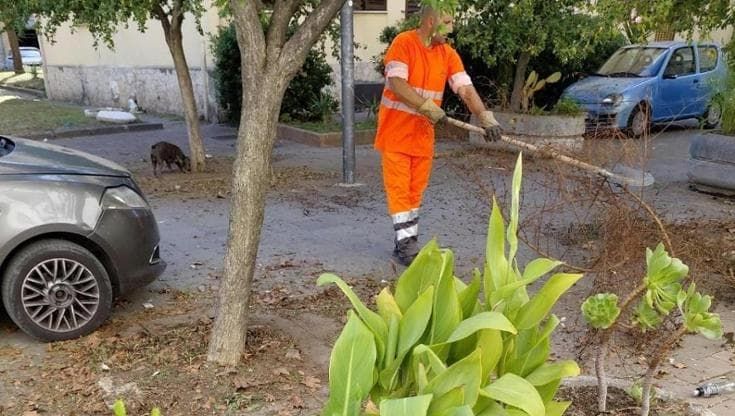 Piante, cestini e una mini-isola ecologica: il Rione Villa rinasce con “Amici di Asia”