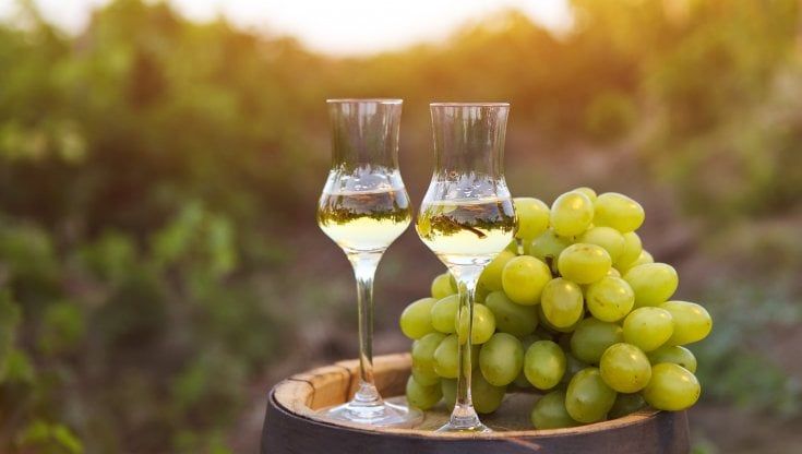 Bene l'export della grappa, ma forti preoccupazioni per l'aumento dei costi