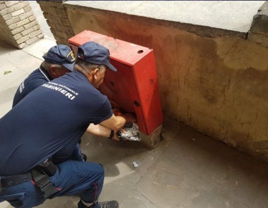 Parma, la droga nascosta nel portico del palazzetto Eucherio Sanvitale