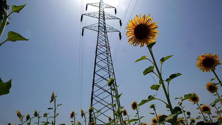 Bollette elettriche: che prezzi deve aspettarsi chi non passa al mercato libero?