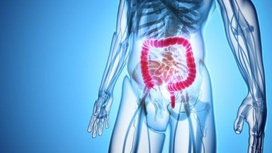 Tumore colon-retto, dalla ricerca italiana nuove speranze di cura chemio-free