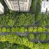L’onda verde sulle città. Più alberi per ogni abitante: un’oasi di 33 metri quadri