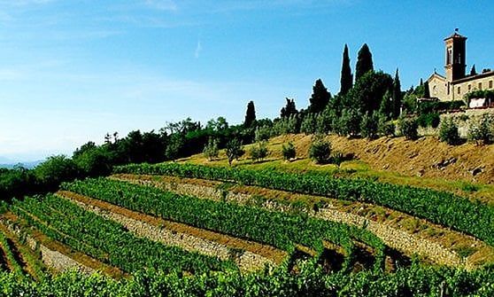 Lamole si candida a paesaggio storico d'Italia