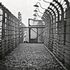 Turski, il custode di Auschwitz che raccontava la Shoah ai ragazzi