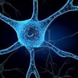 Sclerosi laterale amiotrofica, in Italia la prima medicina capace di ritardare l'insorgenza della malattia