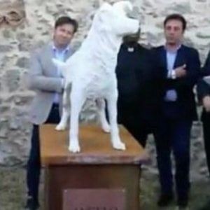 Catanzaro, un monumento per il cane Angelo