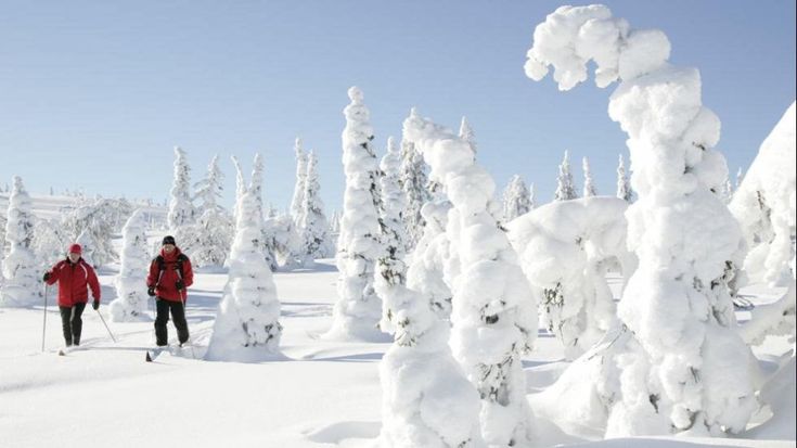 Sopravvivere all'inverno: 50 luoghi e appuntamenti da non perdere