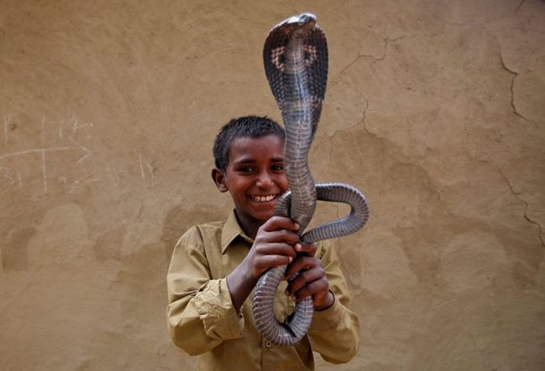 India: la crisi dei Saperas, gli incantatori di serpenti