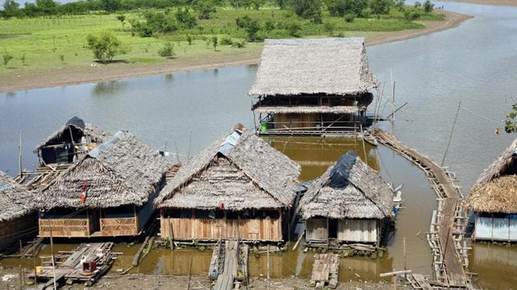 Perù, turista muore in rito sciamanico: aveva bevuto ayahuasca. Il boom della vacanza “psichedelica”