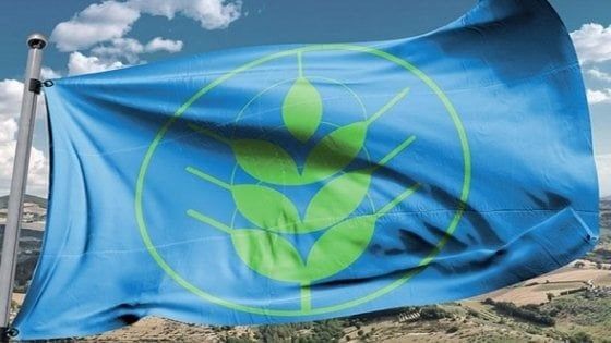 Sostenibilità, radici e marketing: i comuni rurali sempre più green