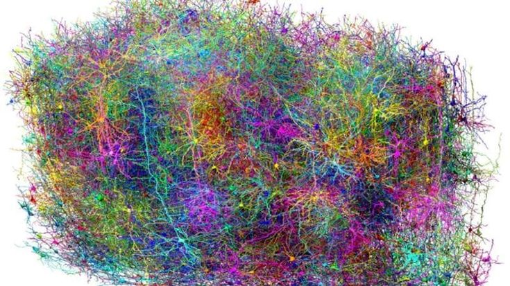 Le cavie vanno al cinema. E gli scienziati indovinano dai loro neuroni il film che stanno guardando