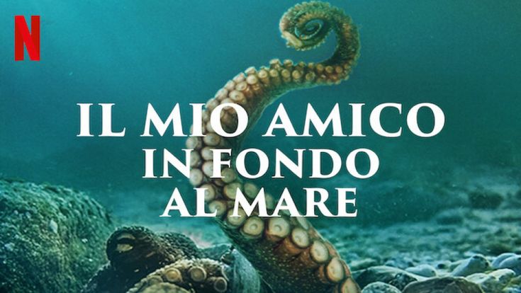 La polpa dell’amore 
