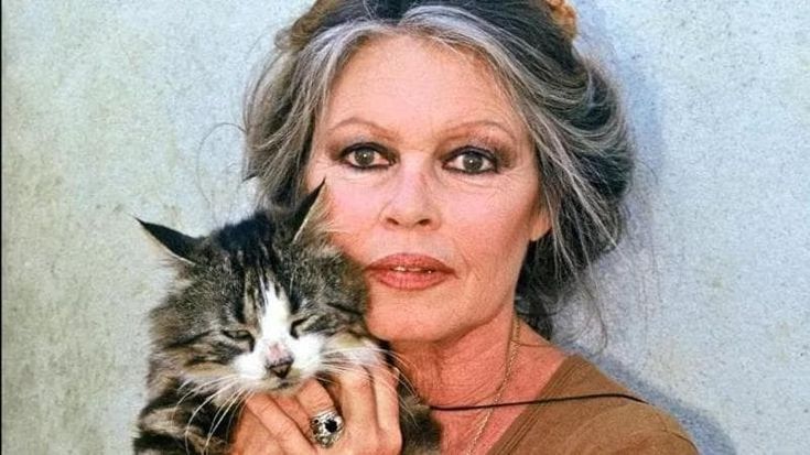Brigitte Bardot, niente festeggiamenti per i suoi 90 anni: “Non mi lamento, e comunque sono in piedi. Il mio isolamento è un lusso”
