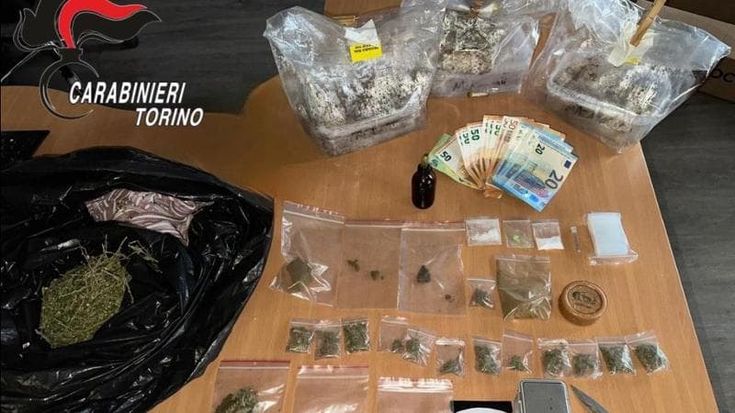 Trasformano il tinello in una serra di funghi allucinogeni e cannabis: arrestati due ventenni