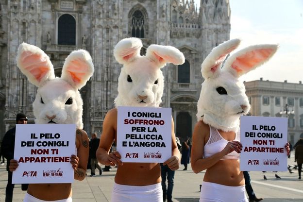 Settimana della moda a Milano, gli animalisti di Peta protestano in piazza Duomo vestiti da coniglio