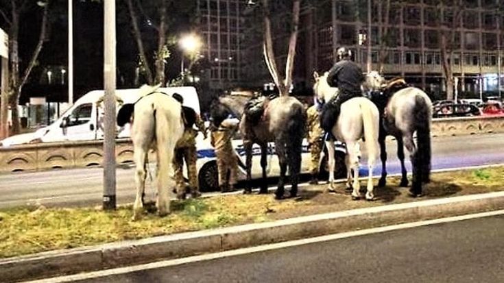 Cavalli in fuga sulla Colombo, l’audio shock della carabiniera: “Ero in sella, ho pensato di morire”