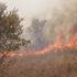 Incendi boschivi, così l’Italia si prepara ad affrontare la stagione più a rischio
