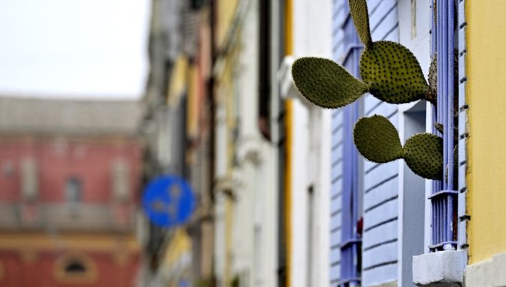Parma daily life: scorci e curiosità - foto