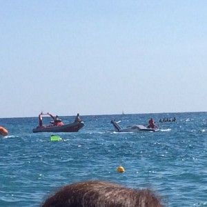 Celle, ammaraggio d'emergenza di un ultraleggero