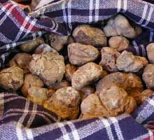 S.Angelo in Vado: alla corte di re tartufo