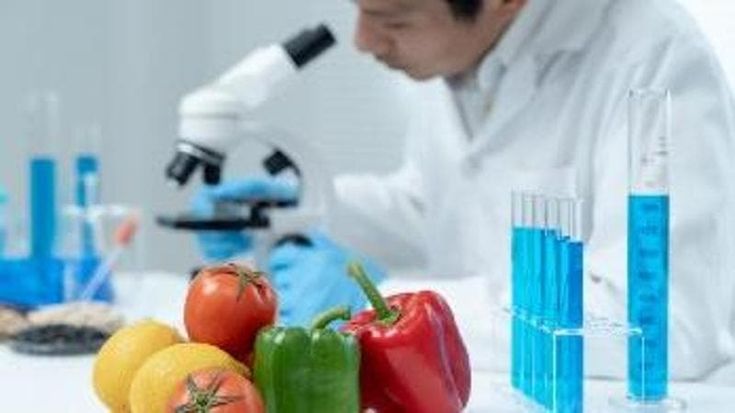 La fame nel mondo, le nuove proteine per un’alimentazione più sostenibile
