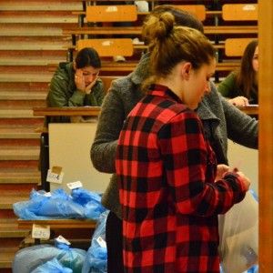 Test di Medicina, aperta l'inchiesta. I pm: "Rubati per invalidare la prova"